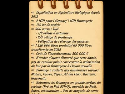 Fiche Angèle