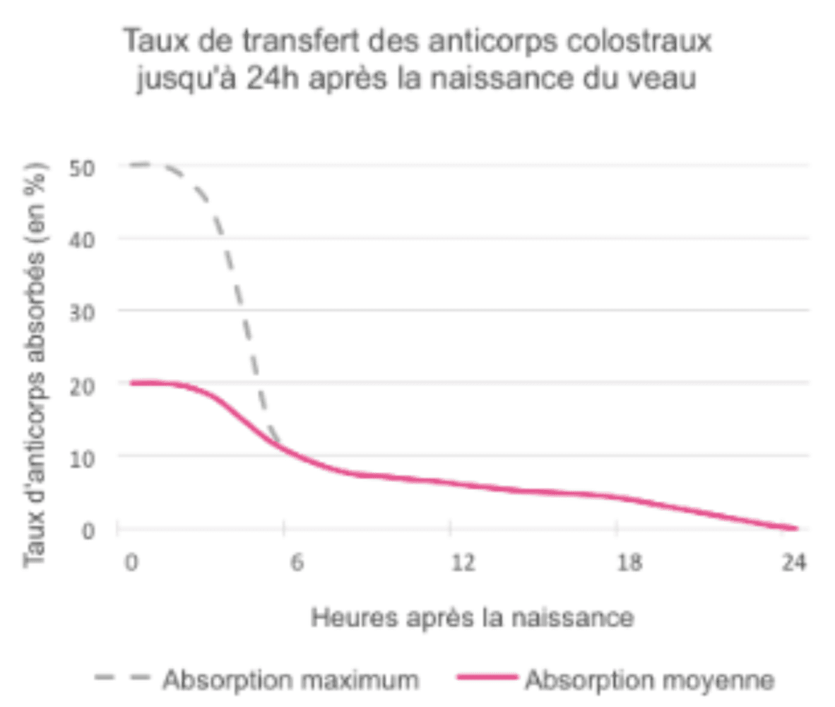 Taux de transfert des anticorps du colostrum