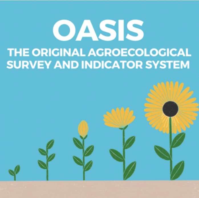 OASIS