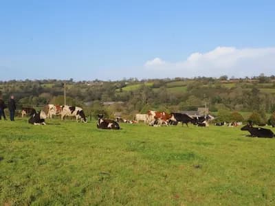 GAEC DE LA VALLÉE VERTE DANS LA MANCHE (50)
