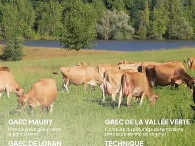 Couverture Parlons Kiwi 2