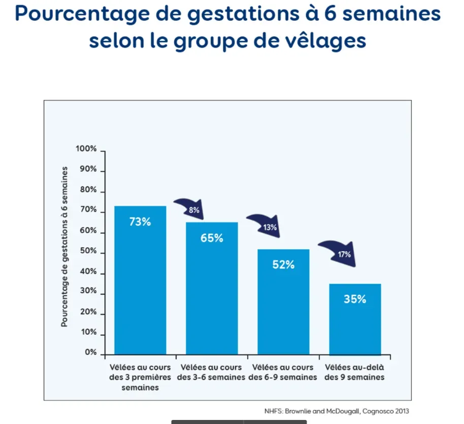 Pourcentage de gestation à 6 semaines