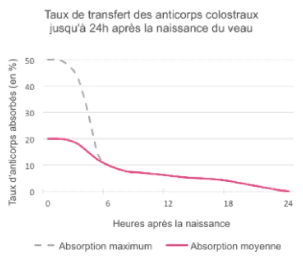 Taux de transfert des anticorps du colostrum