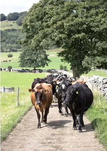 Capture d’écran 2025-09-01 à 23.23.16.png