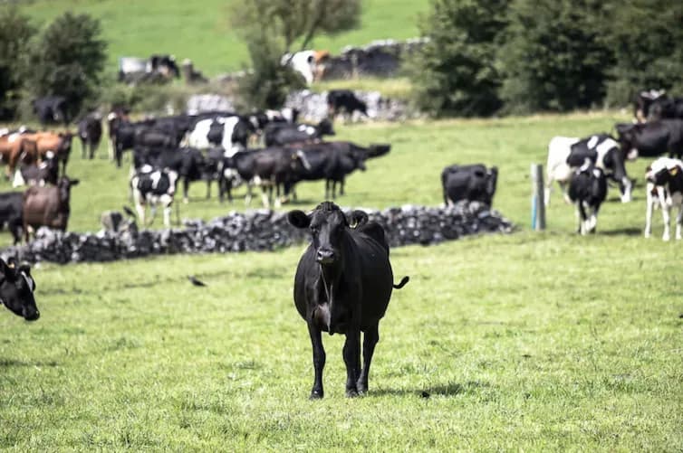 Capture d’écran 2025-09-01 à 23.36.13.png