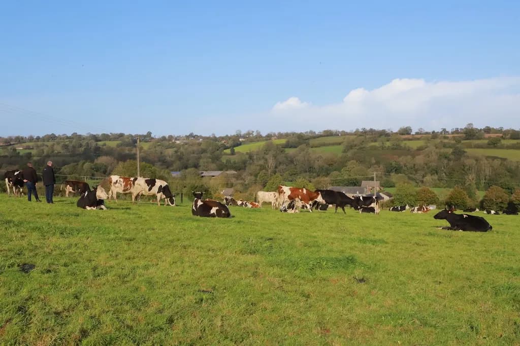GAEC DE LA VALLÉE VERTE DANS LA MANCHE (50)